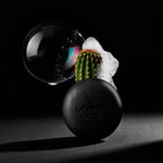 Black Edition Solid Shampoo