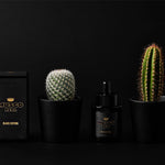 Black Edition Beard Oil