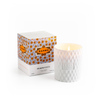 Banho Citron Verbena Candle